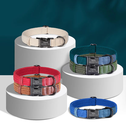 Custom Engraved Nylon Dog Collar for Small, Medium, and Large Dogs