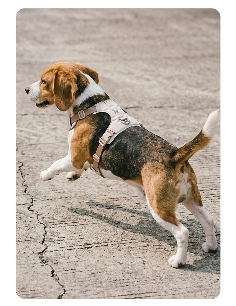 lightweight dog harness & leash set - anti-pull, escape-proof fit