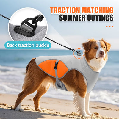 Dog Cooling Vest Harness with Portable Water Bottle for Summer Walks