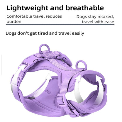 Breathable Dog Harness and Leed Set, Adjustable Vest for Daily Walks
