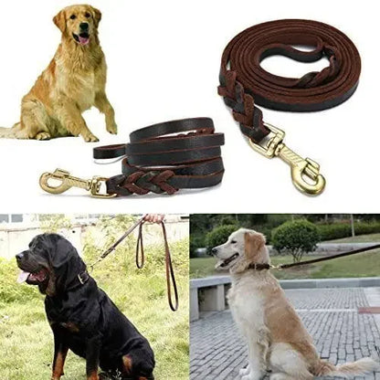 Genuine Leather Braided Dog Leash for Medium and Large Dog Breeds