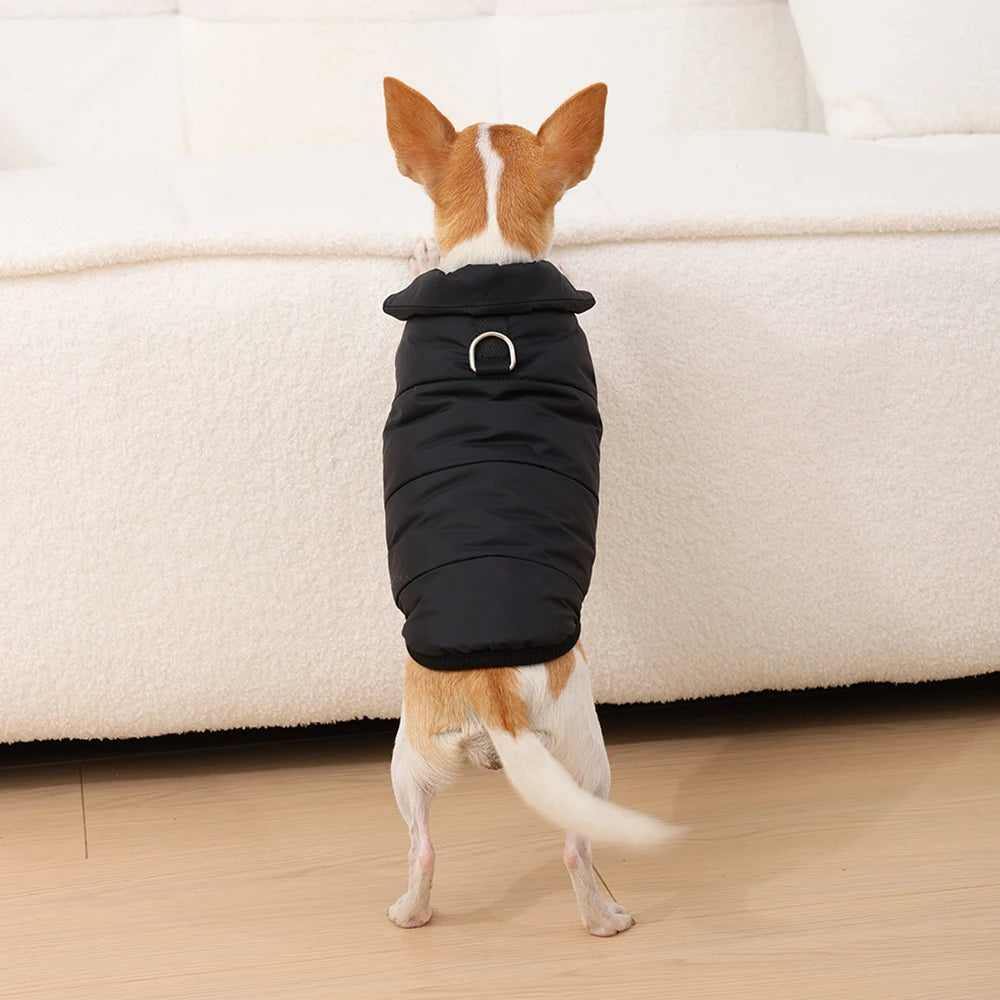 thick fleece striped winter coat for puppies and cats windproof