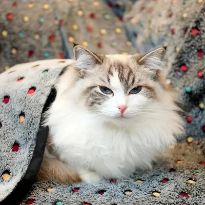Soft Fluffy Dot Pattern Pet Blanket for Cats and Dogs Warm Coral Fleece