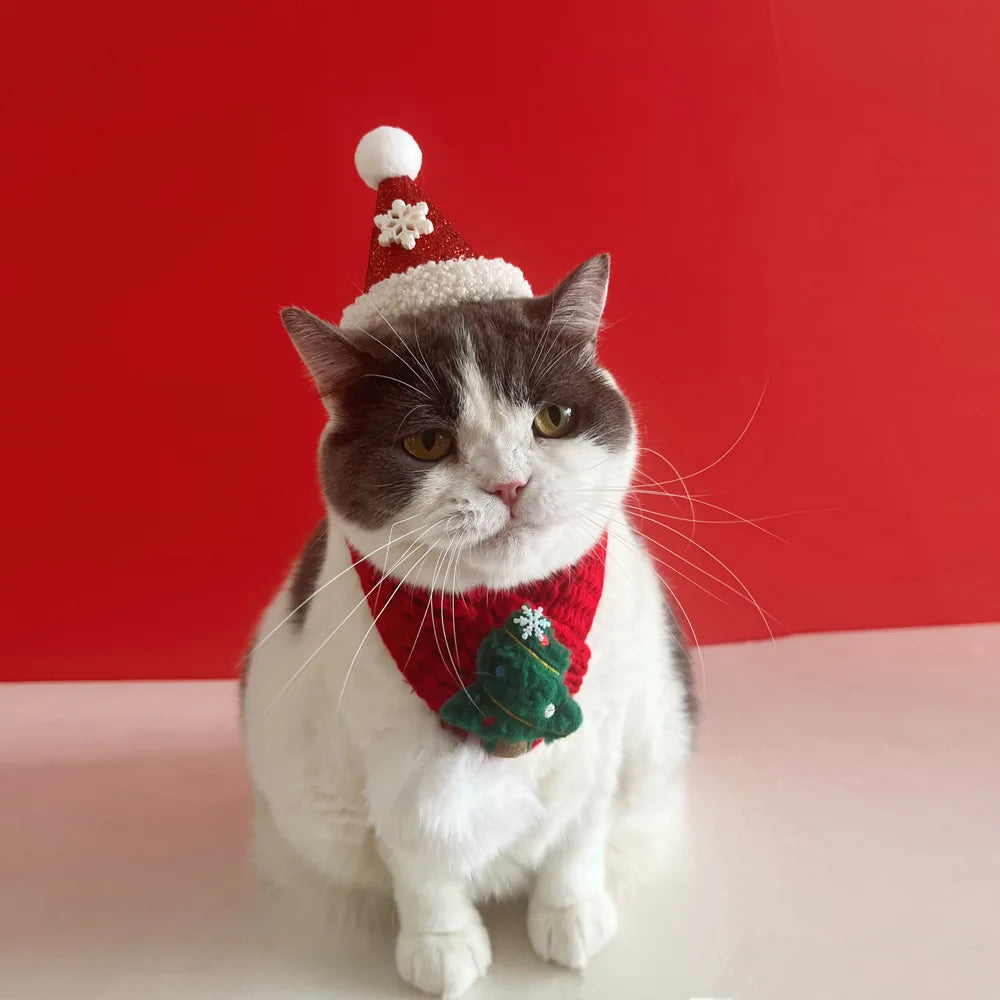 soft red christmas cat hat and scarf with adjustable chin strap
