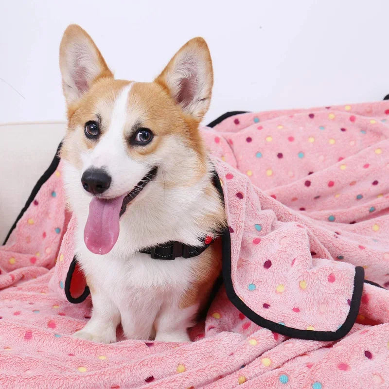 soft fluffy dot pattern pet blanket for cats and dogs warm coral fleece
