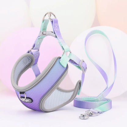 Step-In Dog Harness with Reflective, Breathable Design, Adjustable