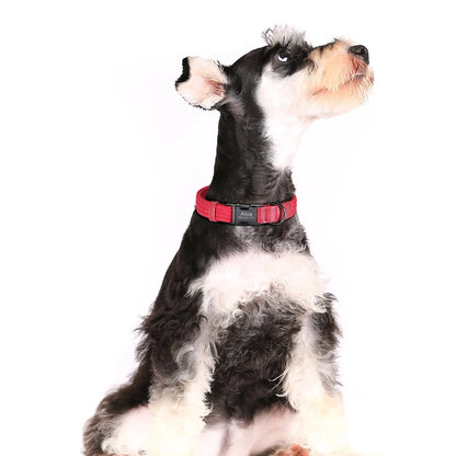 Custom Engraved Nylon Dog Collar for Small, Medium, and Large Dogs