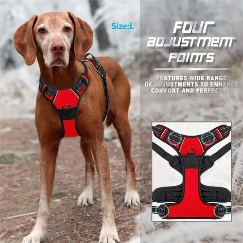 Personalized Leather-Style Dog Harness Set – Comfortable Vest