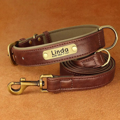 Padded Leather Dog Collar and Leash Set with Custom Nameplate Tag