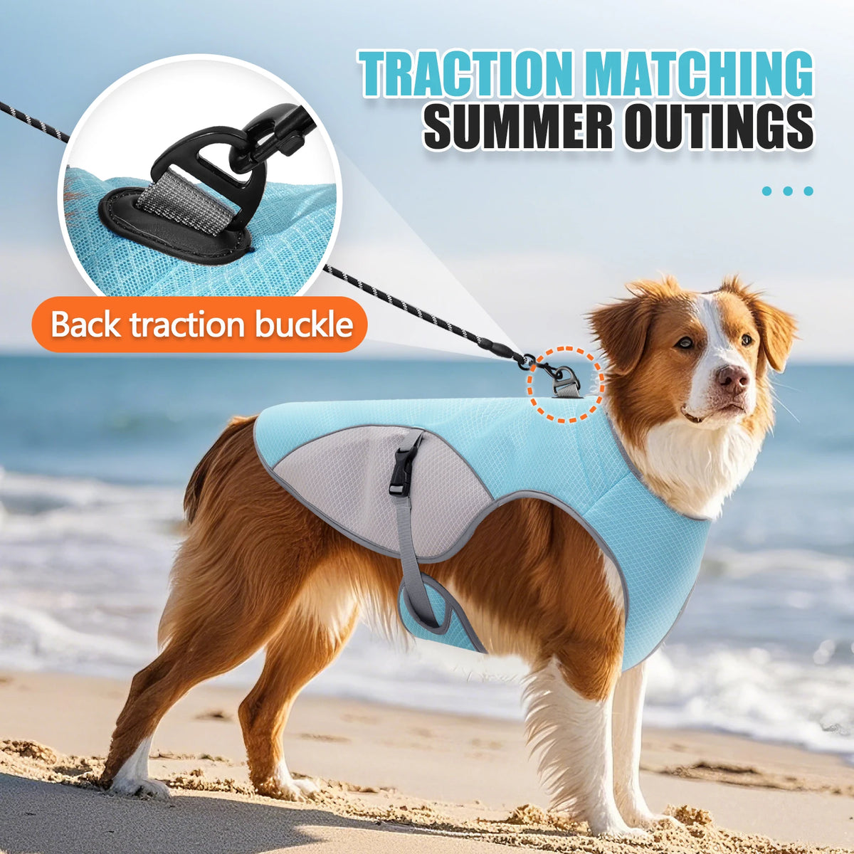 dog cooling vest harness with portable water bottle for summer walks