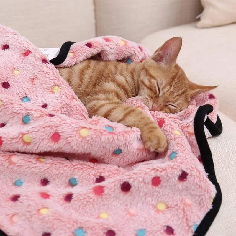 soft fluffy dot pattern pet blanket for cats and dogs warm coral fleece