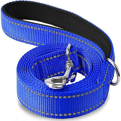 Reflective Nylon Dog Leash with Comfortable Handle for Night Walks