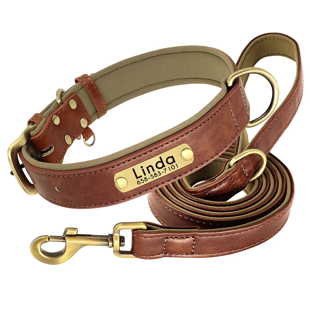 padded leather dog collar and leash set with custom nameplate tag