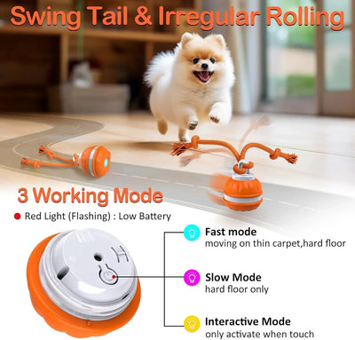 Interactive Rolling Dog Ball, USB Rechargeable Motion Activated Toy