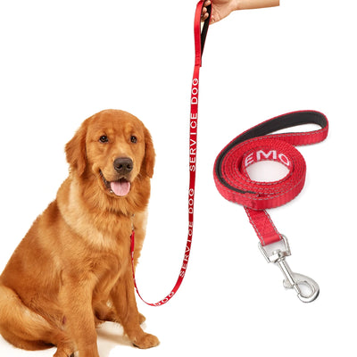 Red Reflective Padded Dog Leash for Outdoor Walking and Running Sport