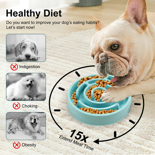 Maze Design Slow Feeder Dog Bowl – Anti-Gulping Feeding Dish