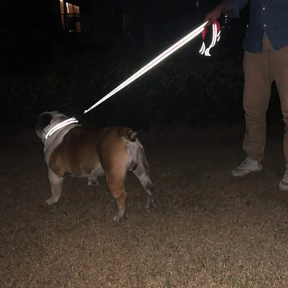 Reflective Nylon Dog Leash with Comfortable Handle for Night Walks