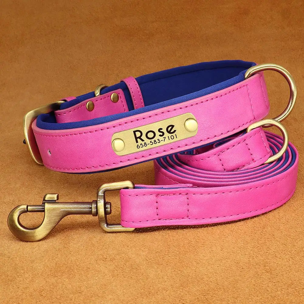 padded leather dog collar and leash set with custom nameplate tag