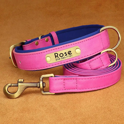 Padded Leather Dog Collar and Leash Set with Custom Nameplate Tag