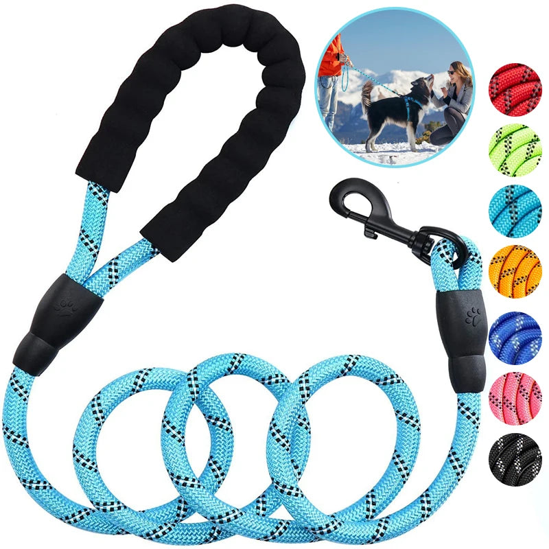 reflective nylon dog leash – padded no-slip handle, adjustable fit