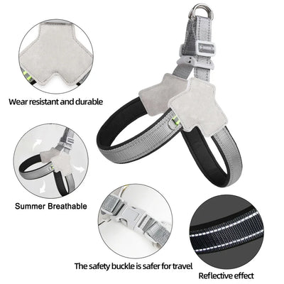 Adjustable Reflective Dog Harness for Hiking, Walking, and Travel