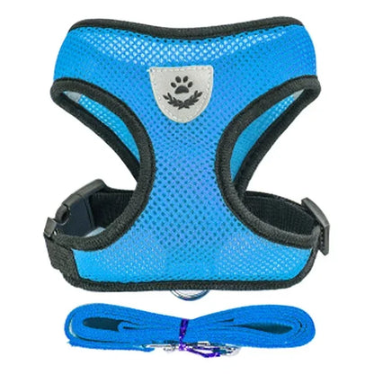 Adjustable Mesh Vest Harness & Leash - Breathable for Cats & Dogs