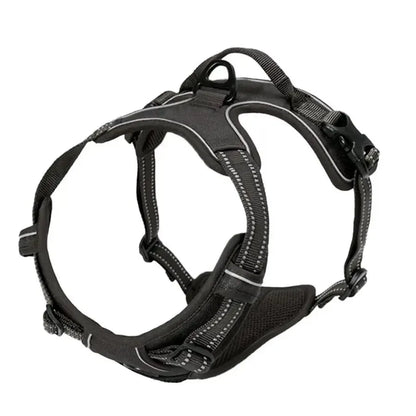 Personalized Leather-Style Dog Harness Set – Comfortable Vest