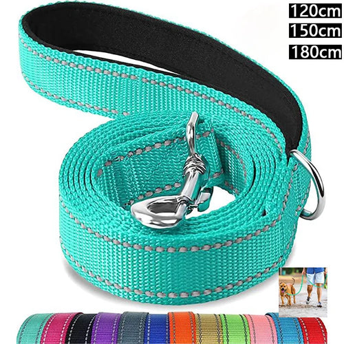 Reflective Nylon Dog Leash with Comfortable Handle for Night Walks