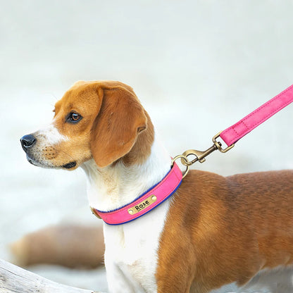 Padded Leather Dog Collar and Leash Set with Custom Nameplate Tag